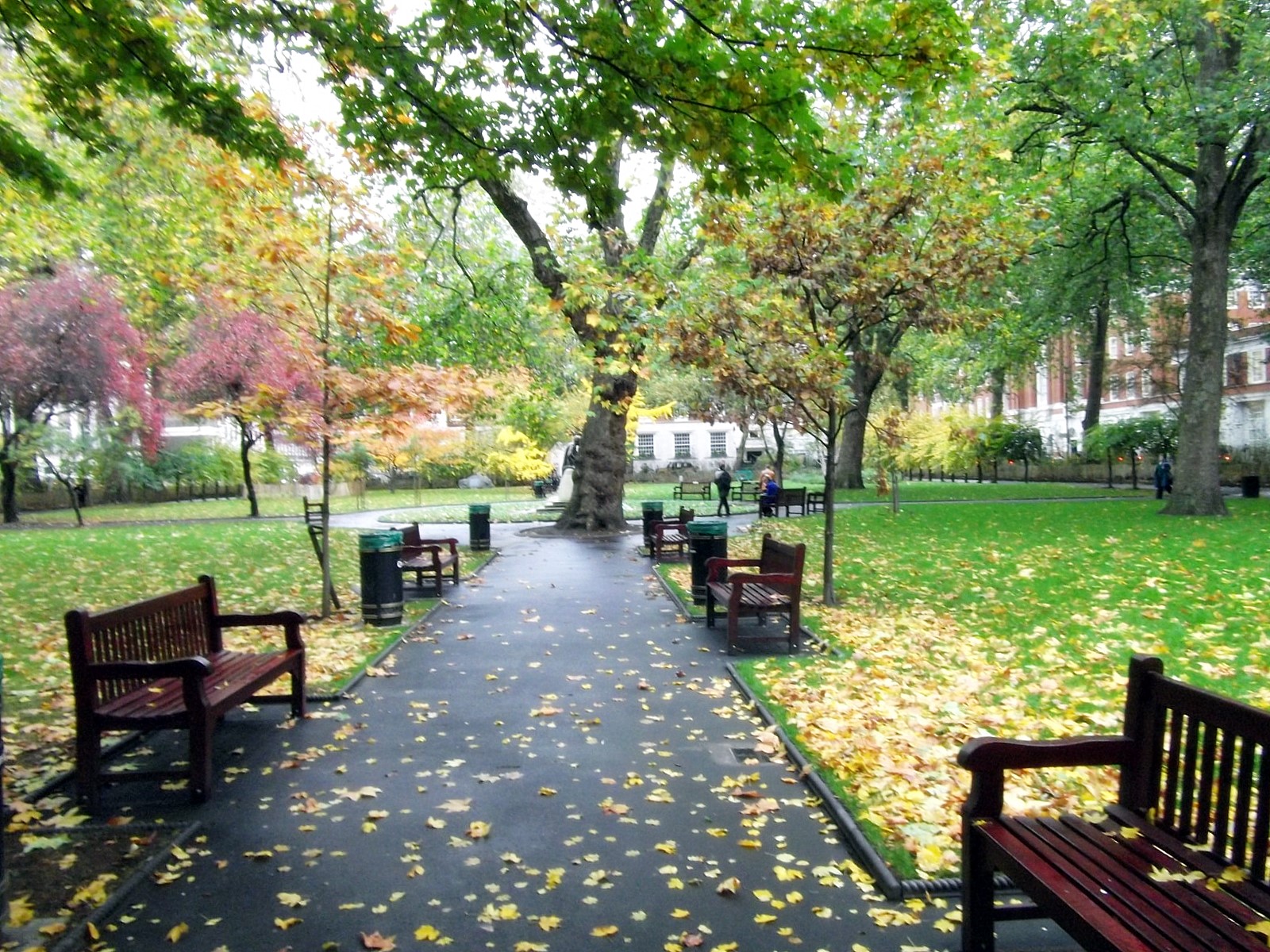 Photography Challenge Day 19 Tavistock Gardens 5 November 2010